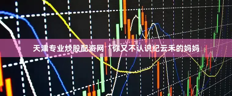 天津专业炒股配资网「你又不认识纪云禾的妈妈