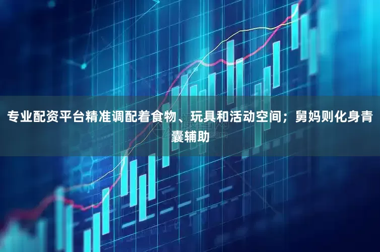 专业配资平台精准调配着食物、玩具和活动空间；舅妈则化身青囊辅助