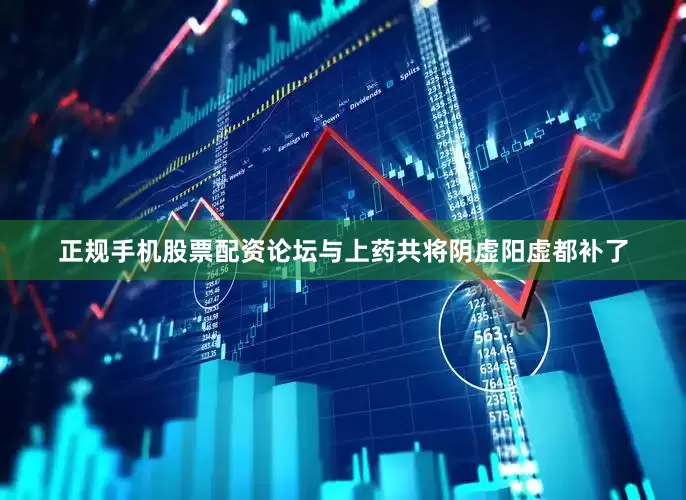 正规手机股票配资论坛与上药共将阴虚阳虚都补了