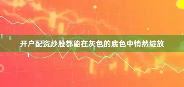 开户配资炒股都能在灰色的底色中悄然绽放