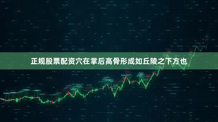 正规股票配资穴在掌后高骨形成如丘陵之下方也