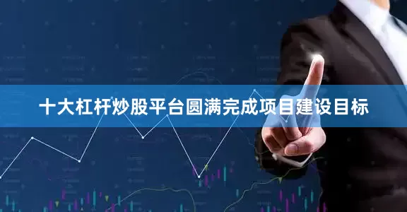 十大杠杆炒股平台圆满完成项目建设目标