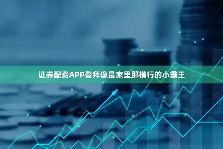 证券配资APP鳌拜像是家里那横行的小霸王