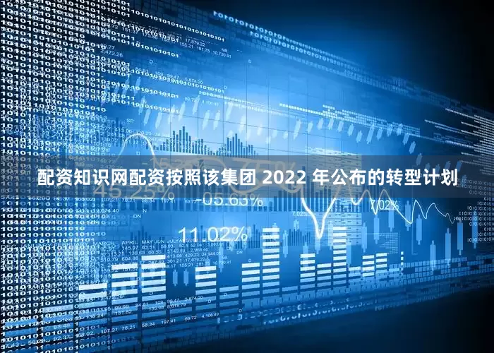 配资知识网配资按照该集团 2022 年公布的转型计划