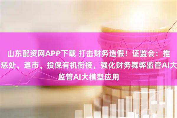 山东配资网APP下载 打击财务造假！证监会：推进发现、惩处、退市、投保有机衔接，强化财务舞弊监管AI大模型应用